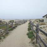 Worldmark Monterey Marina Dunes at Sanctuary Beach Beach Access 150x150 CALIFORNIA Worldmark Marina Dunes Monterey