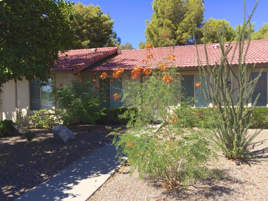 Indian Palms Intervals Resort Indio Palm Springs California Condo